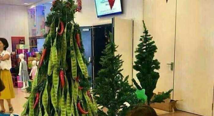 Pohon Natal Dari Botol Sprite / Gereja Katedral Kristus Raja Purwokerto Buat Pohon Natal ...