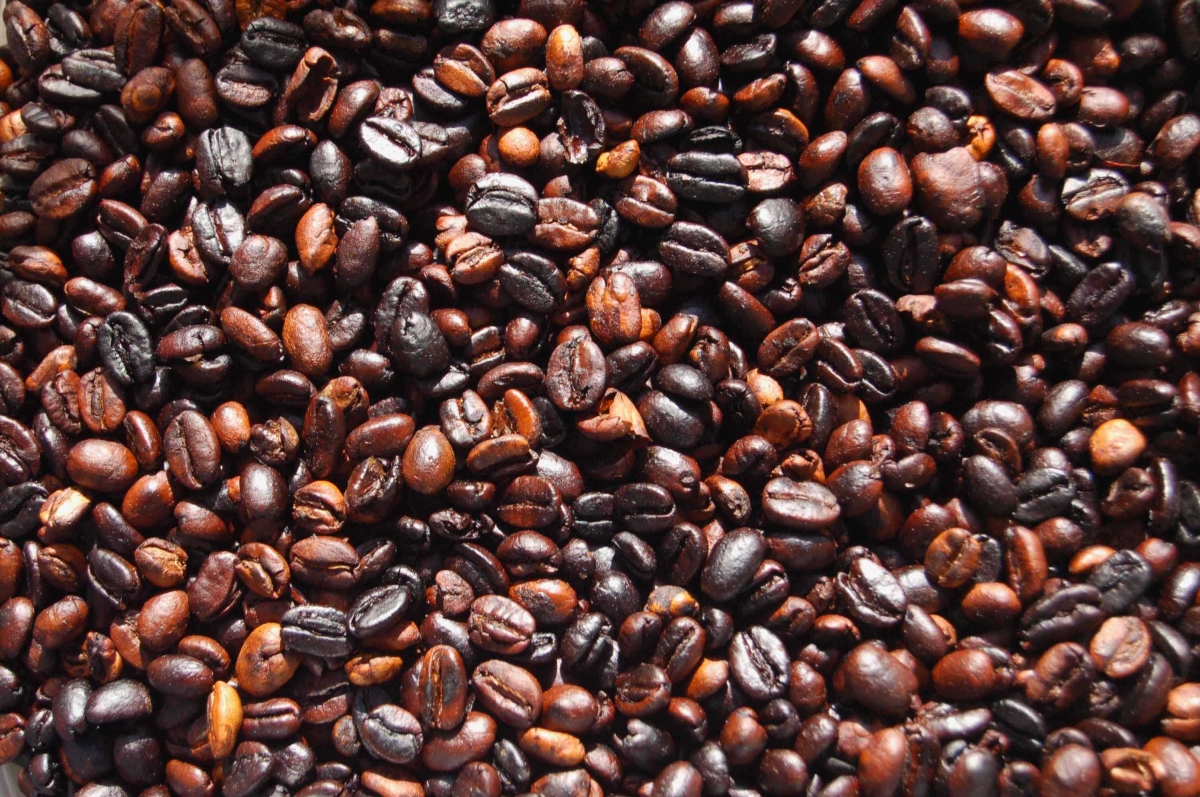 Bagaimana Penyangraian Biji Kopi dapat Mempengaruhi Cita Bagaimana Penyangraian Biji Kopi dapat Mempengaruhi Cita