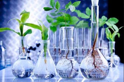 Bioteknologi Untuk Kesejahteraan Manusia Kompasiana Com