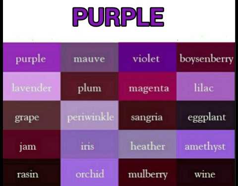 Padanan Warna  Purple  Desainrumahid com
