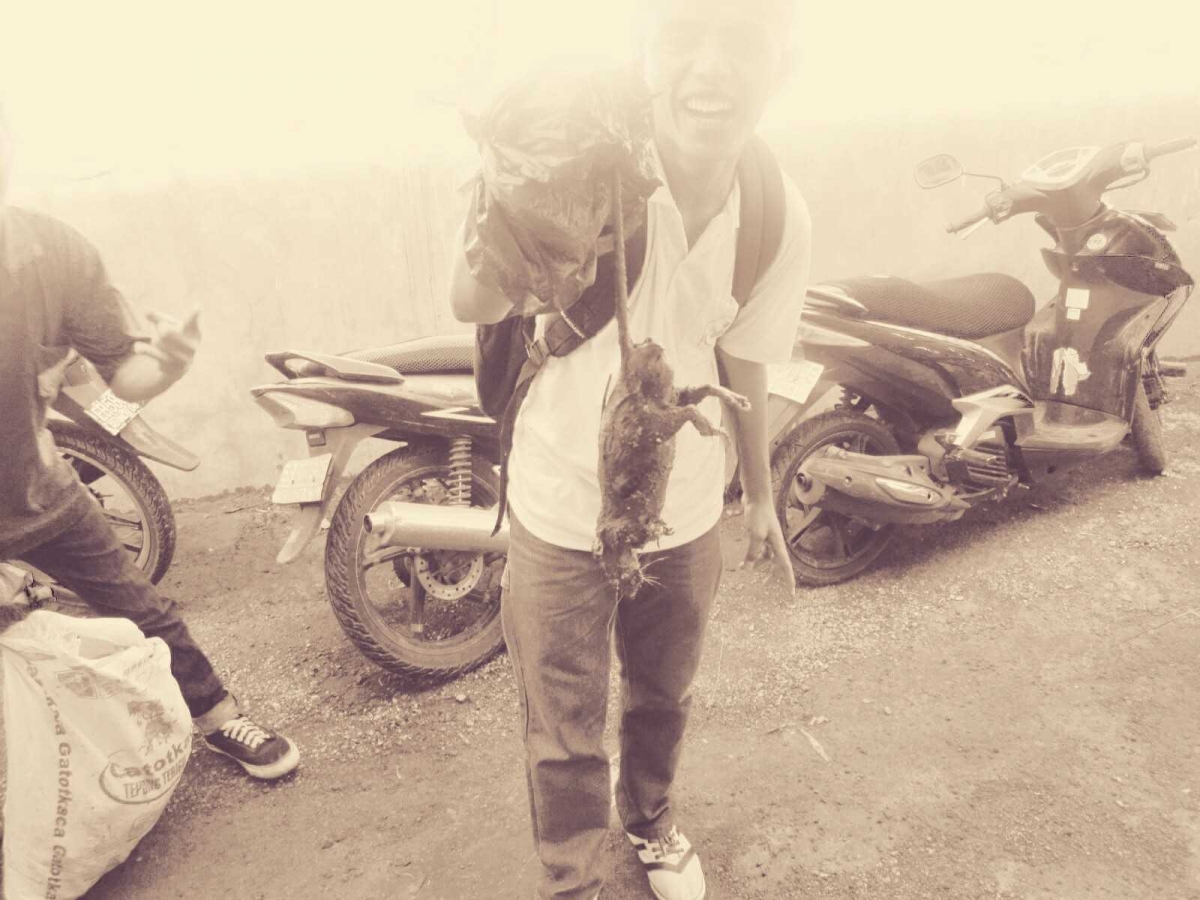 Jalur karir trader pilihan