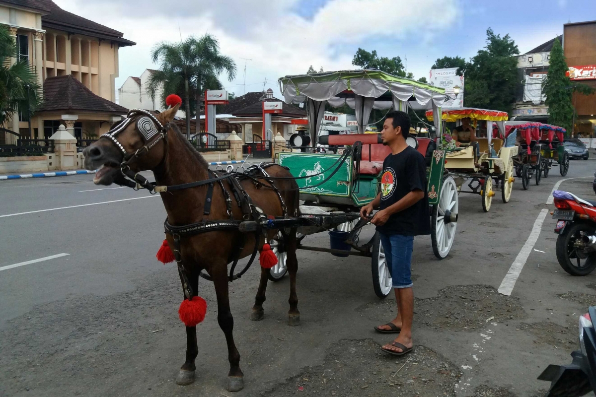 Pengalaman Pertama Naik Delman dan Cerita Pak Agus yang Pengalaman Pertama Naik Delman dan Cerita Pak Agus yang