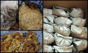 Jual Nasi Bungkus Via Whatsapp Halaman All Kompasiana Com