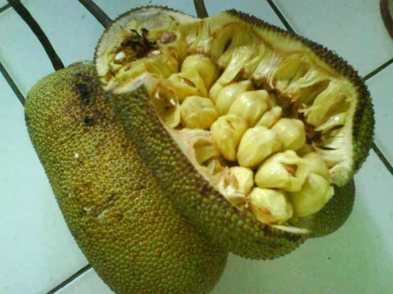 Siapa Berani Uji Nyali Menikmati Kulit Daging Sampai Biji Buah Cempedak Halaman 2 Kompasiana Com