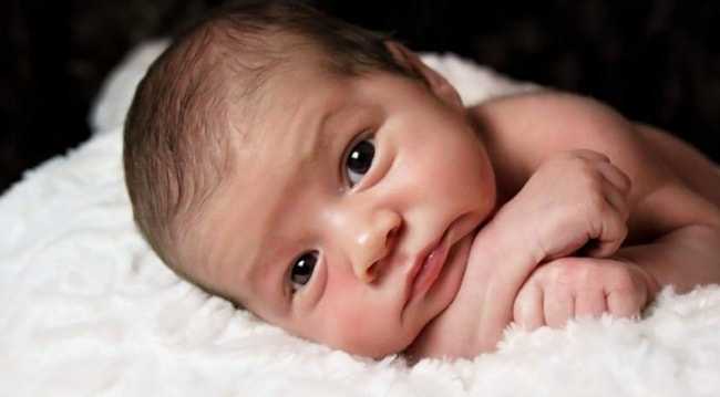 Siapa Bayi Sehat yang Dimaksud Ruhut Sitompul Halaman 1 Siapa Bayi Sehat yang Dimaksud Ruhut Sitompul Halaman 1