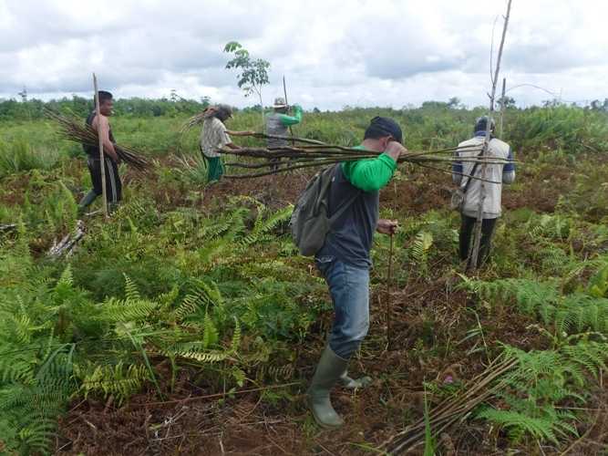 Masyarakat Lakukan Rehabilitasi di Kawasan Hutan Desa Masyarakat Lakukan Rehabilitasi di Kawasan Hutan Desa