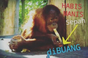 Wanita Hebat Di Balik Pria Sukses Jangan Habis Manis Sepah Dibuang Halaman All Kompasiana Com