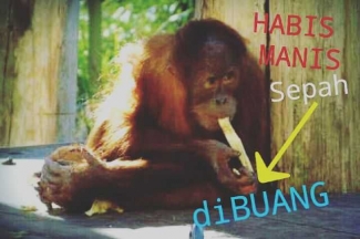 Wanita Hebat Di Balik Pria Sukses Jangan Habis Manis Sepah Dibuang Halaman All Kompasiana Com