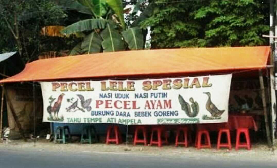Inilah Perbedaan Antara Warung Pecel Lele dan Ayam Gepruk  Inilah Perbedaan Antara Warung Pecel Lele dan Ayam Gepruk