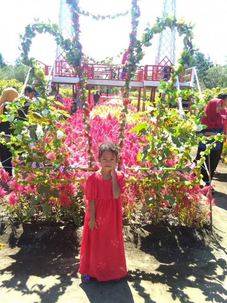 Kebun Bunga Ambal Wisata Baru Bernama Taman Asmara Kebun Bunga Ambal Wisata Baru Bernama Taman Asmara