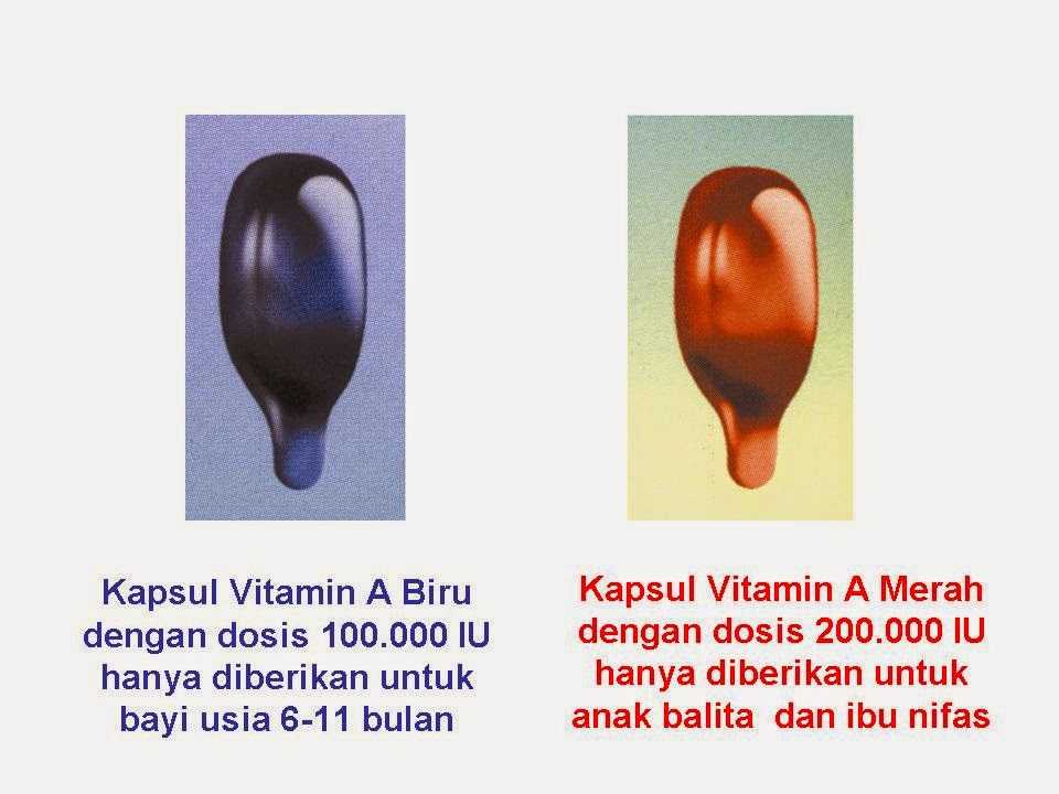 Vitamin A Kaya Akan Manfaat Untuk Balita Dan Ibu Nifas