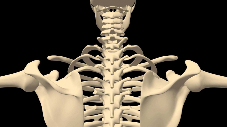 Benarkah Perempuan Diciptakan Dari Tulang Rusuk Laki Laki Kompasiana Com Benarkah Perempuan Diciptakan Dari Tulang Rusuk Laki Laki Kompasiana Com