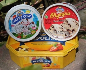 Istimewanya Es Krim Campina Halaman All Kompasiana Com