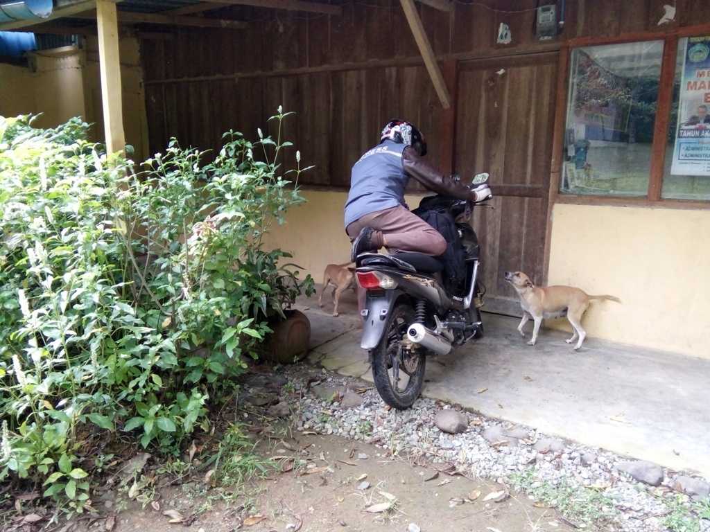 Ternyata Adakalanya Anjing Lebih Setia Daripada Manusia Halaman