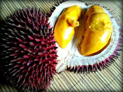 Mengenal Jenis Jenis Durian Langka Kompasiana Com