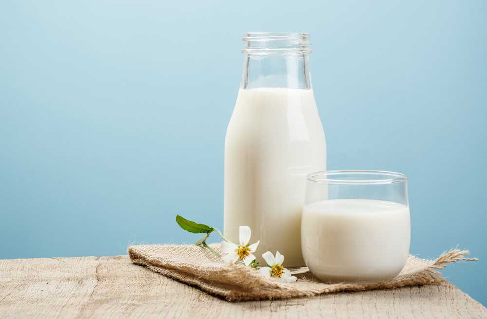 6 Manfaat Minum Susu Sapi Setiap Hari Halaman all - Kompasiana.com