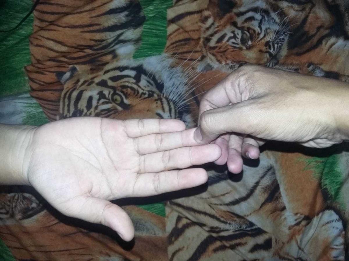 Deteksi Rasa Terpendam Dengan Ujung Jari Halaman All Kompasiana Com Deteksi Rasa Terpendam Dengan Ujung Jari Halaman All Kompasiana Com