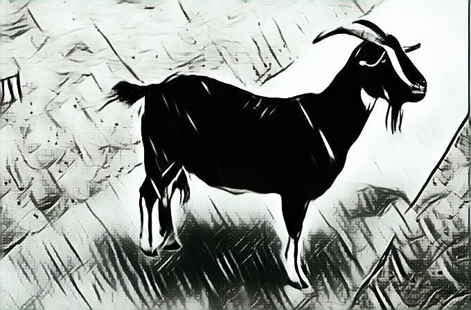 Setan Kambing Hitam Halaman All Kompasiana Com