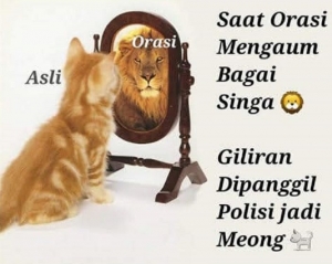 Kenali Singa Beraksi Di Tahun Politik Halaman All Kompasiana Com