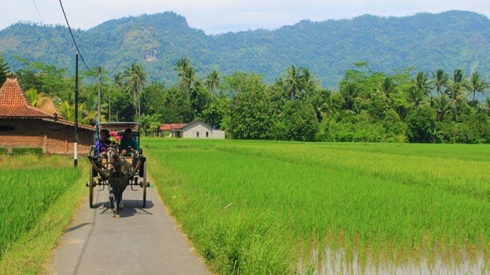 Dana Desa Demi Pembangunan Dan Kesejahteraan Masyarakat Desa Halaman 1 Kompasiana Com Dana Desa Demi Pembangunan Dan Kesejahteraan Masyarakat Desa Halaman 1 Kompasiana Com