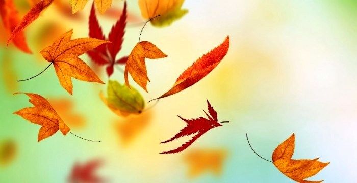 Semua Sudah Diatur Tidak Ada Yang Kebetulan Halaman 1 Kompasiana Com