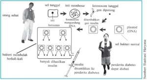 Hubungan Bioteknologi Kesehatan Dan Kefarmasian Halaman 1