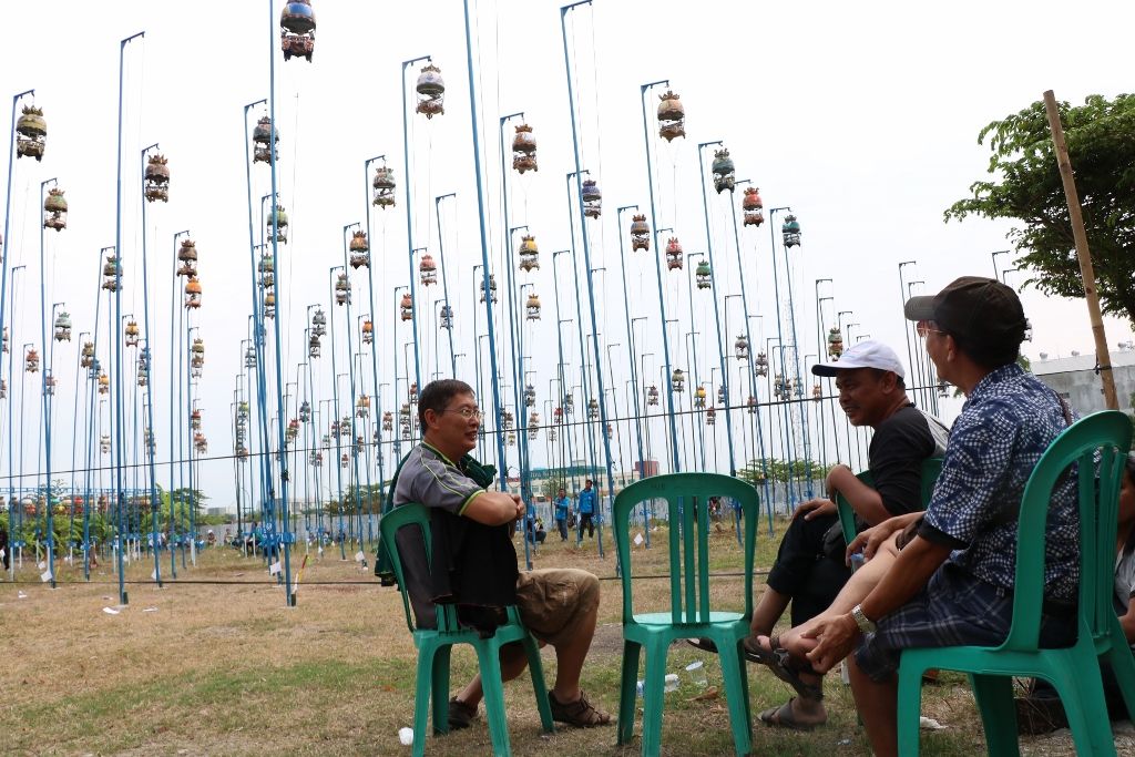 Perkutut Dulu Klangenan Sekarang Untuk Lomba Halaman All