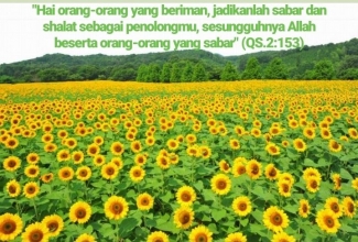 Buah Manis Dari Kesabaran Halaman All Kompasiana Com