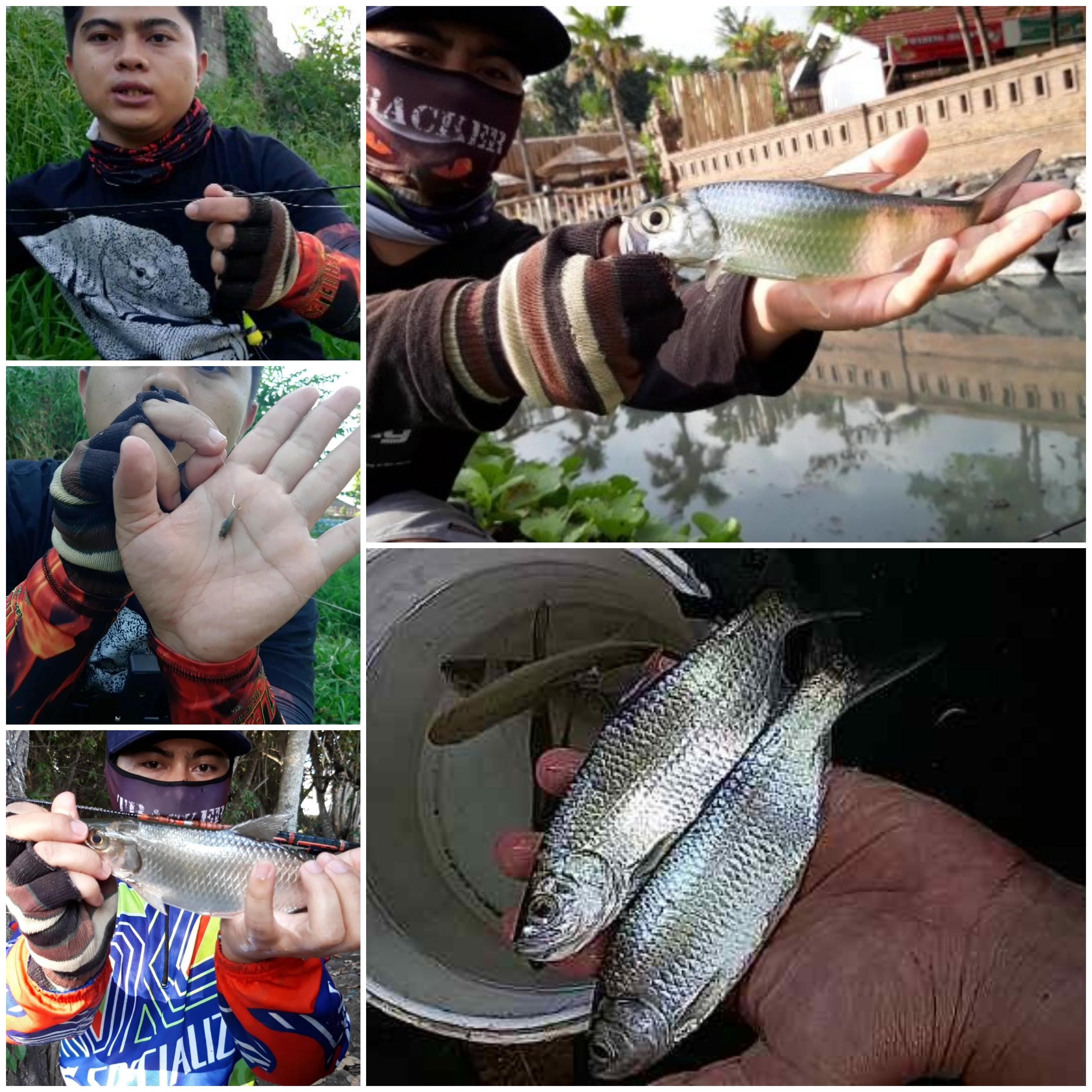 Cara Mancing Ikan Kakap Di Muara