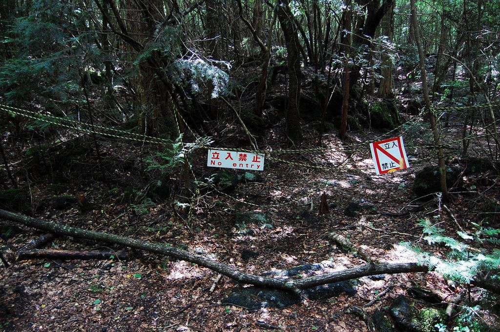 Ulah Youtuber Indonesia Di Aokigahara Tidak Seharusnya Terjadi