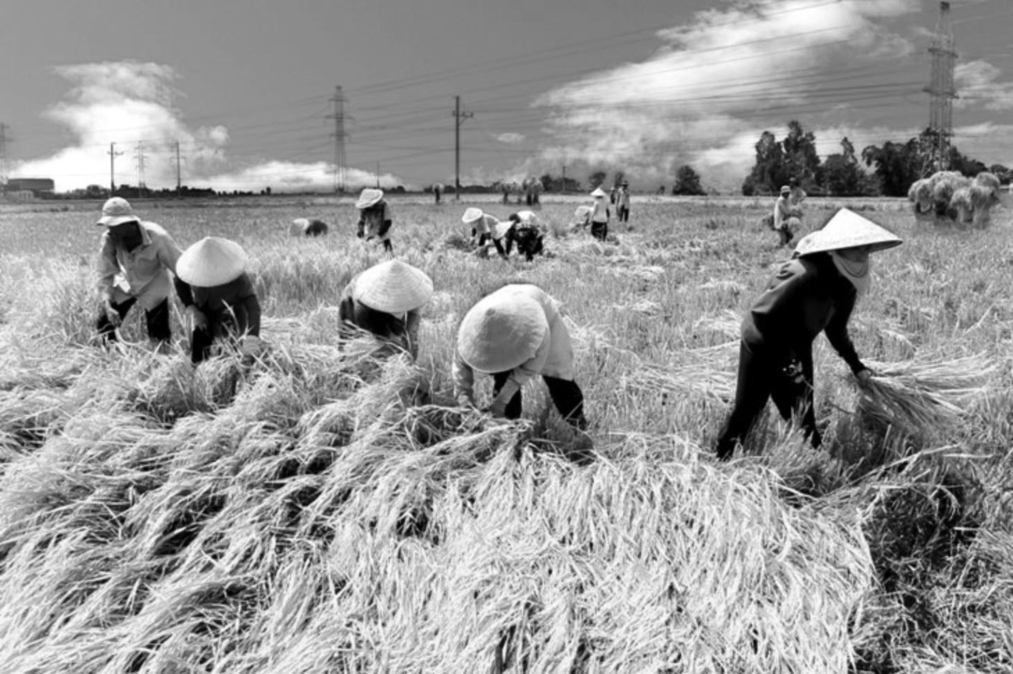 Islam Dan Perkembangan Agrikultura Halaman 1 Kompasiana Com