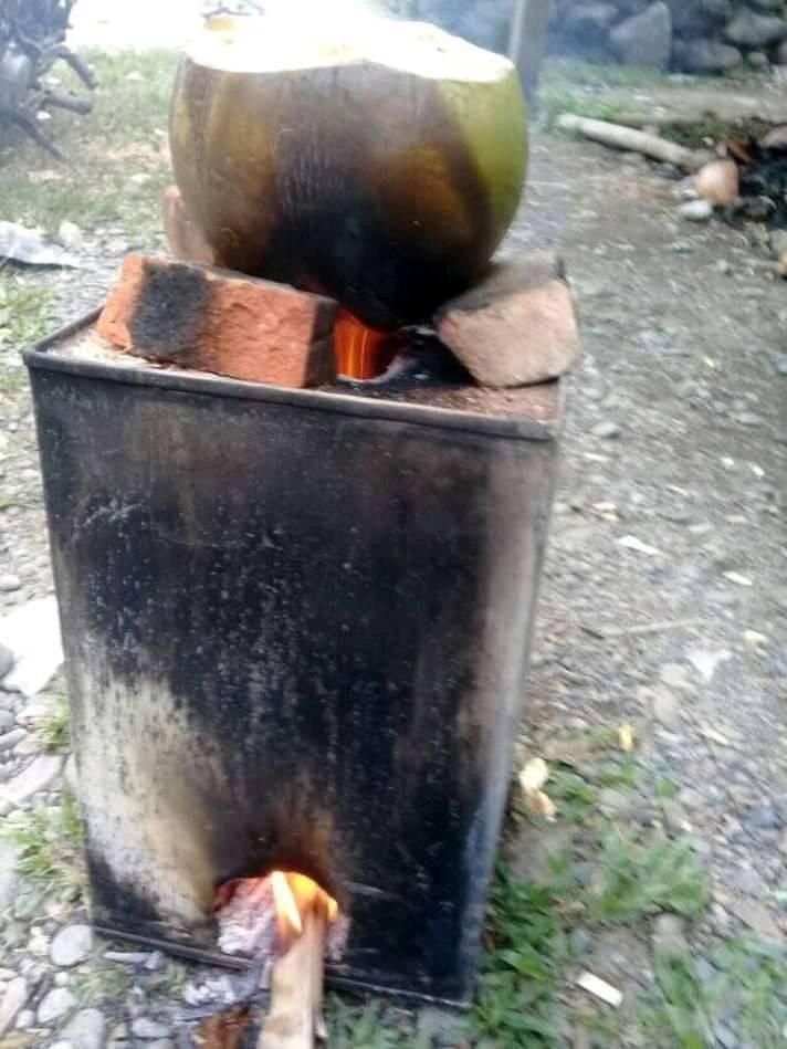 Kelapa  Muda Bakar  dan Khasiat Pengobatannya Kompasiana com  Kelapa  Muda Bakar  dan Khasiat Pengobatannya Kompasiana com