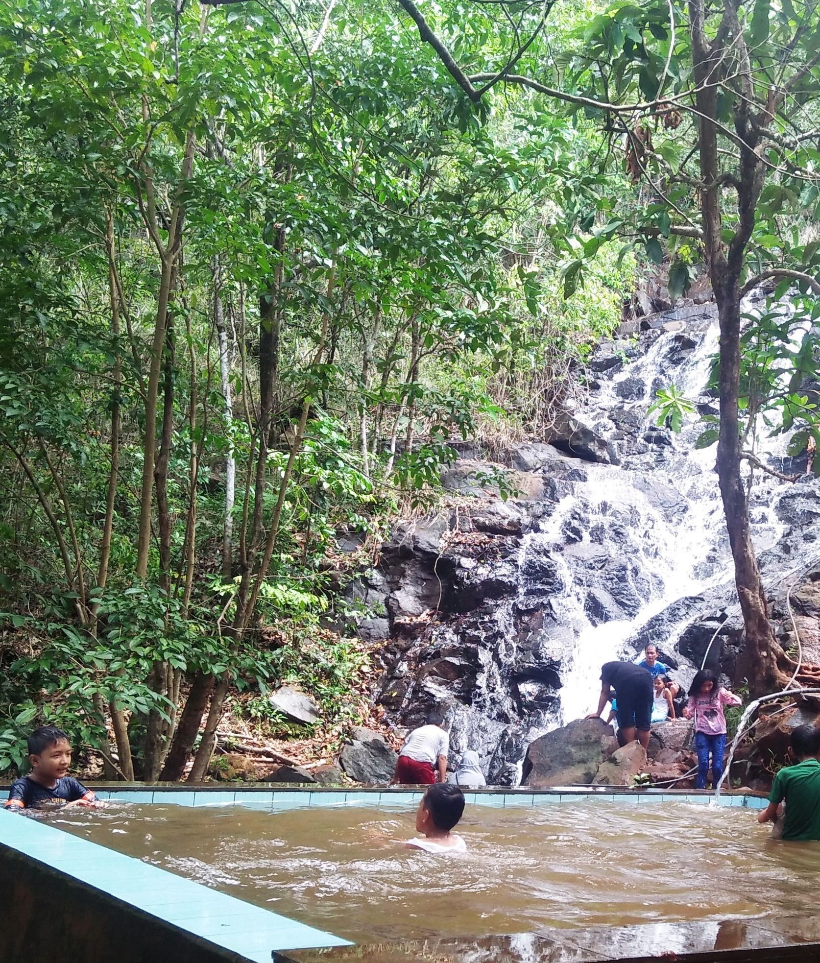 Edisi Kedua Berwisata Ke Tahura Sultan Adam Halaman All