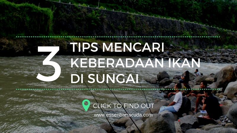 Inilah Tips Mencari Keberadaan Ikan Di Sungai Agar Hasil Maksimal Halaman All Kompasiana Com