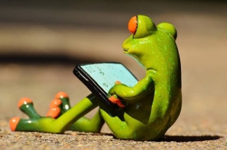 Katak Dalam Tempurung Bertransformasi Menjadi Katak Dalam Mbah Google Kompasiana Com