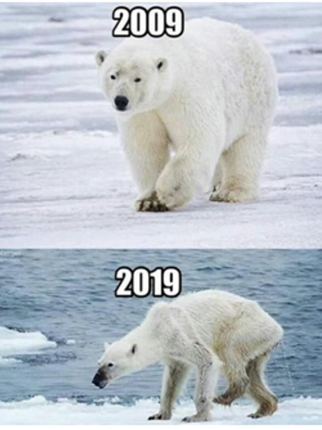 10 Years Challenge Bisa Mengubah Konservasi Indonesia Kompasiana Com