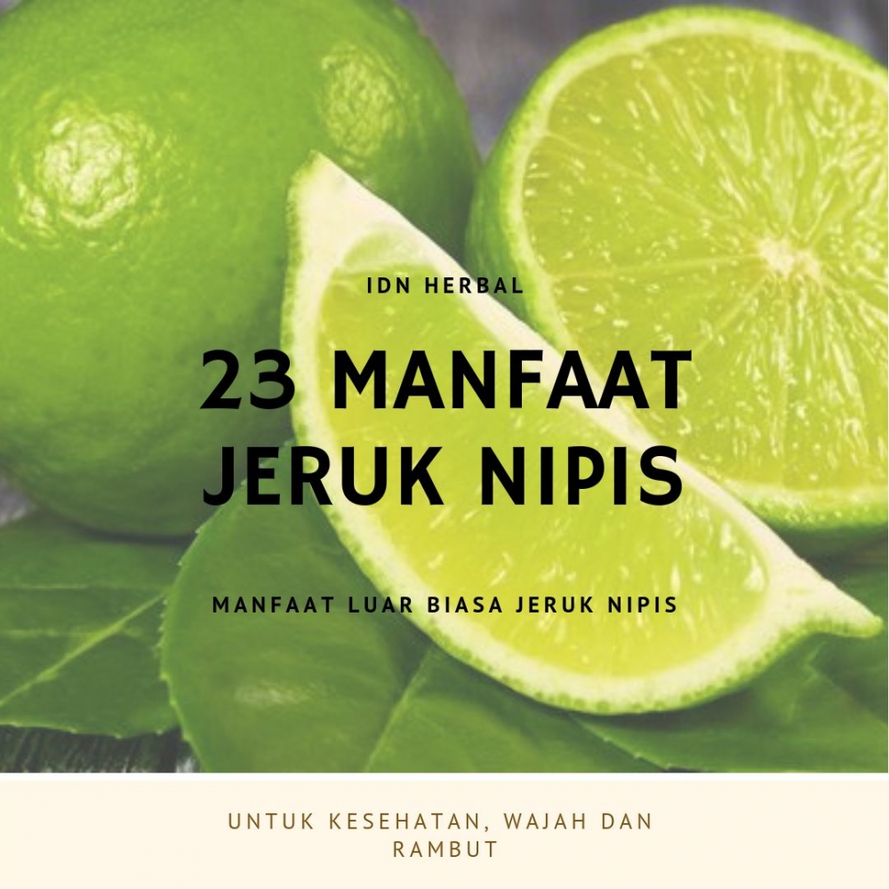 23 Manfaat Luar Biasa Jeruk Nipis Halaman All Kompasiana  23 Manfaat Luar Biasa Jeruk Nipis Halaman All Kompasiana