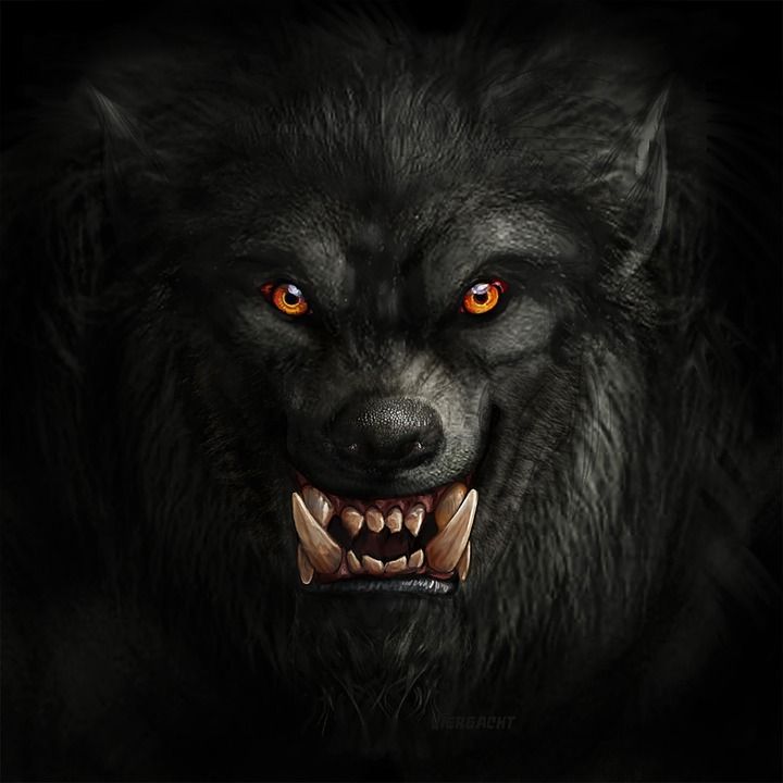 manusia serigala