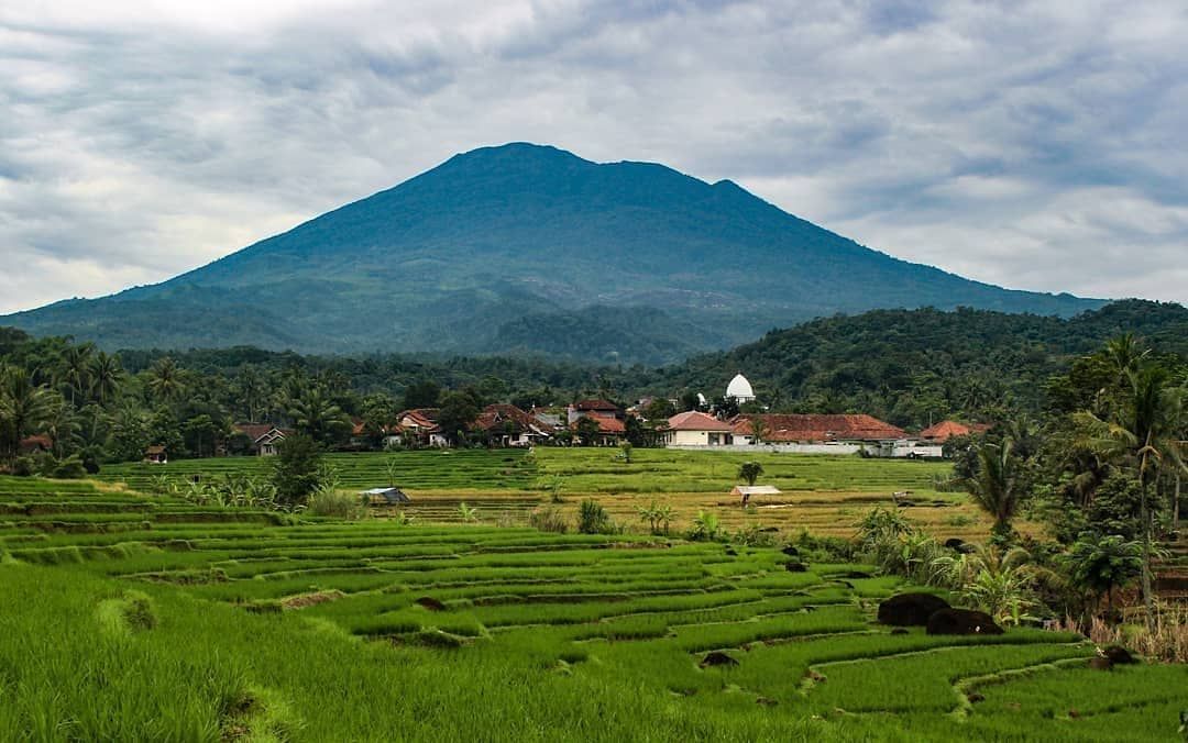 Puisi Pagi Yang Cerah Secerah Hatiku KT Puisi