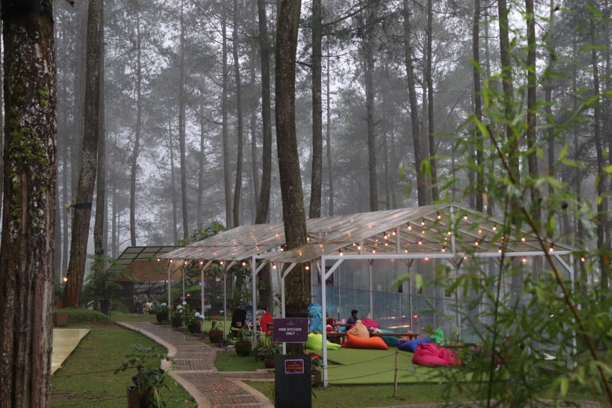 Kekayaan Alam di Orchid Forest Cikole Kompasiana com Kekayaan Alam di Orchid Forest Cikole Kompasiana com