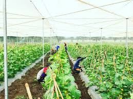 Ngabuburit Di Oisca Training Center Cikembar Kompasiana Com