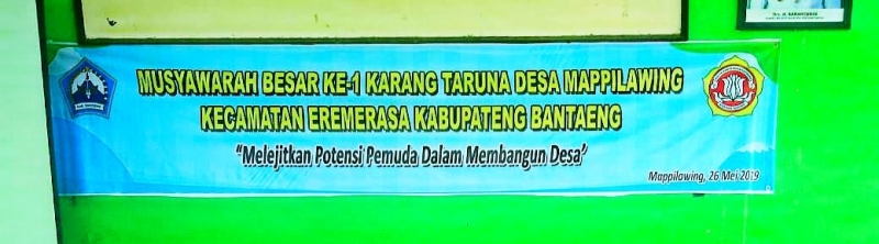 Mubes Karang Taruna Desa Mappilawing Melejitkan Potensi