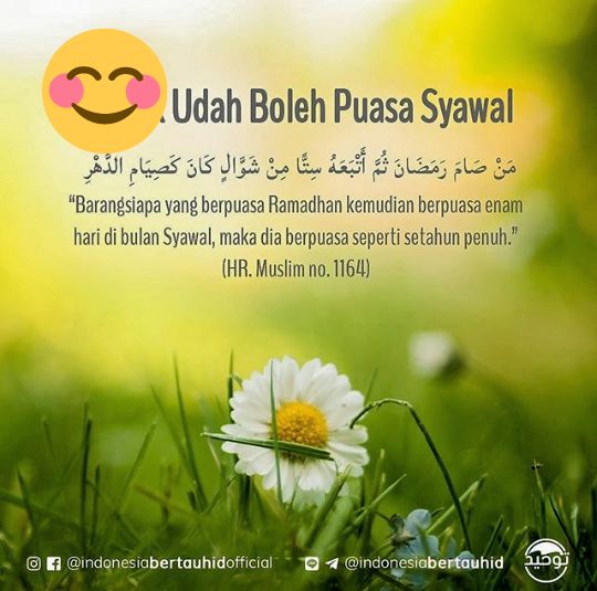Hadits Tentang Puasa Syawal 6 Hari Lengkap Halaman All Kompasiana Com