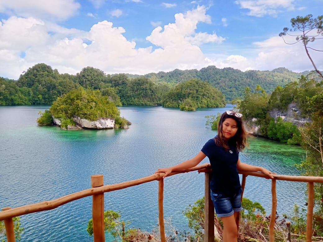 Hasil gambar untuk lopintol