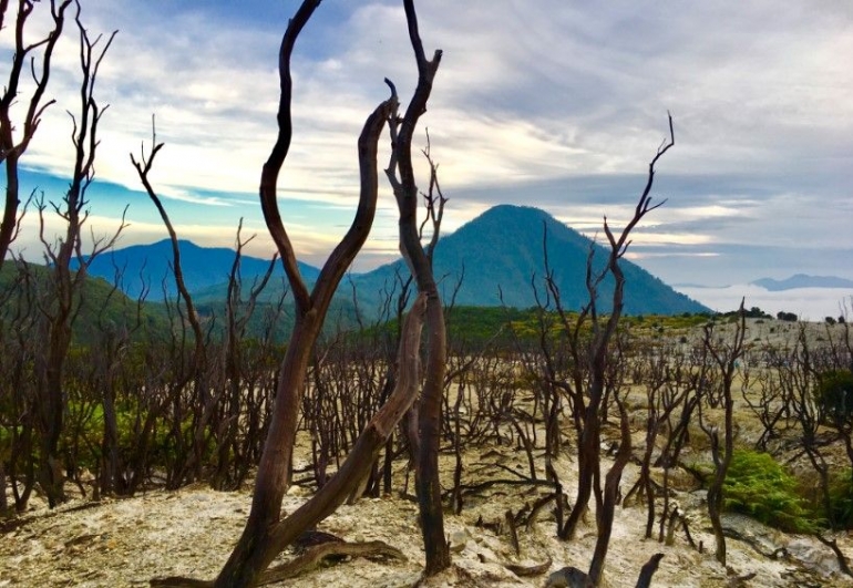 gunung gunung