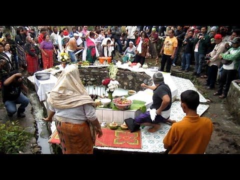 Qattiq lanet ichida eshak va mushuk Meni porno oqishga olib boring