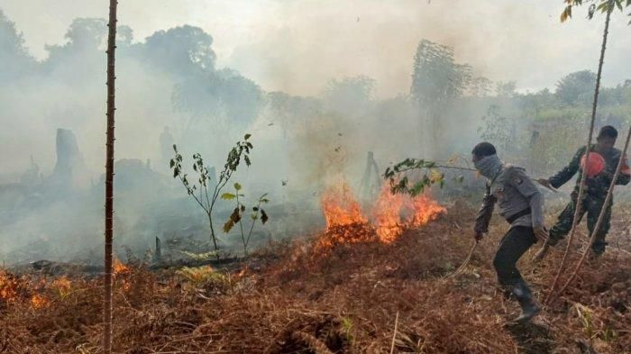 Karhutla Kenapa Perusahaan Sawit Yang Jadi Sasaran Halaman All Kompasiana Com