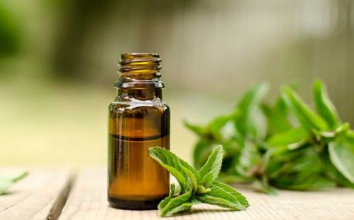 Penggunaan Minyak Atsiri Sebagai Penghemat BBM Penggunaan Minyak Atsiri Sebagai Penghemat BBM