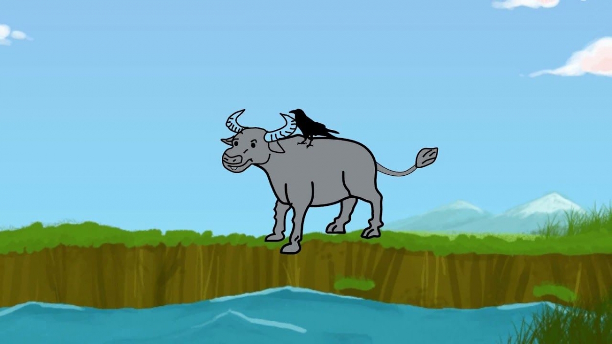 Persahabatan Kerbau Dan Burung Jalak Halaman 1 Kompasiana Com