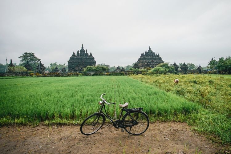 Jangan Takut Disebut Ndeso Ini Nikmatnya Hidup di Desa Jangan Takut Disebut Ndeso Ini Nikmatnya Hidup di Desa